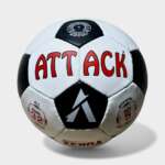 Zebra Football - Image 2