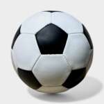 Zebra Football - Image 3