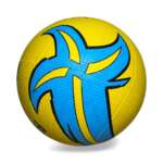 Volleyball 1000 - Image 2