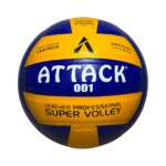 Volleyball 001 Pasted