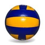 Volleyball 001 Pasted - Image 3