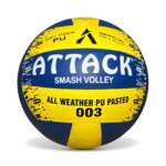 Volleyball 003 Pasted