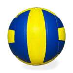 Volleyball 003 Pasted - Image 4