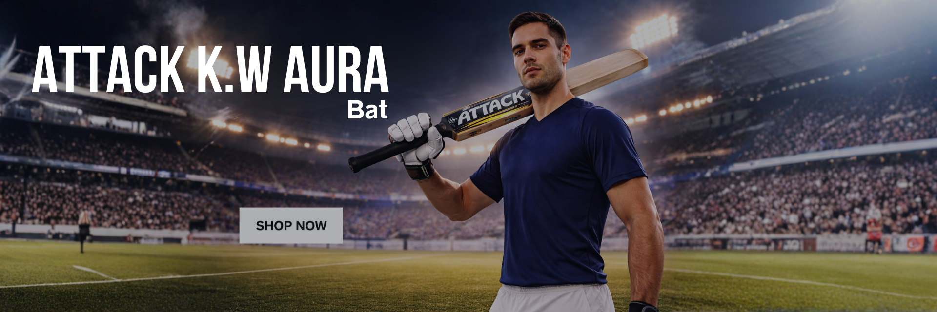 Your paragraph text (3)